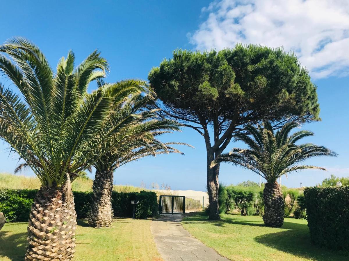 Les Capitelles Bord De Plage Avec Grande Piscine - Vue Montagne Saint-Cyprien  Exterior foto